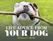 Life Advice from your Dog By Loriann Collette Cover Image