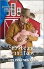 Snowbound with a Baby By Melissa Senate Cover Image