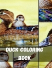 Duck Coloring Book: Ducks, Geese and Swans Coloring Book Real Mother Goose Coloring Book Most Adorable Duck Coloring Book For Kids Ducks C (Birds #5) By Tim Astana Cover Image