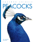 Peacocks (Amazing Animals) By Valerie Bodden Cover Image