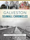 Galveston Seawall Chronicles Cover Image