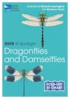 RSPB ID Spotlight - Dragonflies and Damselflies By Marianne Taylor, Richard Lewington (Illustrator) Cover Image