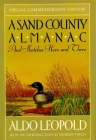A Sand County Almanac: And Sketches Here and There (Outdoor Essays & Reflections) By Aldo Leopold, Charles W. Schwartz (Illustrator), Robert Finch (Introduction by) Cover Image