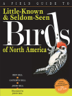 A Field Guide To Little-Known And Seldom-Seen Birds Of North America Cover Image