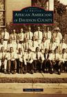 African Americans of Davidson County (Images of America) By Tonya A. Lanier Cover Image