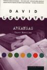 Arkansas: Three Novellas By David Leavitt Cover Image