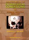 Identification of Pathological Conditions in Human Skeletal Remains Cover Image