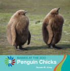 Penguin Chicks By Susan H. Gray Cover Image