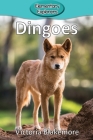 Dingoes (Elementary Explorers #74) By Victoria Blakemore Cover Image