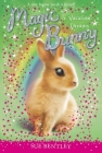 Vacation Dreams #2 (Magic Bunny #2) By Sue Bentley, Angela Swan (Illustrator) Cover Image