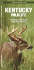 Kentucky Wildlife: A Folding Pocket Guide to Familiar Species (Pocket Naturalist Guide) By James Kavanagh, Waterford Press, Raymond Leung (Illustrator) Cover Image