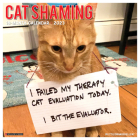 Cat Shaming 2023 Wall Calendar By Willow Creek Press Cover Image