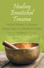 Healing Emotional Trauma: Practical Pathways to Decrease Anxiety, Anger & Lower Blood Pressure By Jayan Marie Landry Cover Image