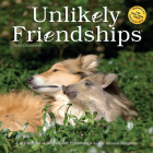 Unlikely Friendships Wall Calendar 2022 Cover Image