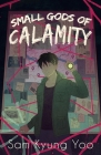 Small Gods of Calamity Cover Image