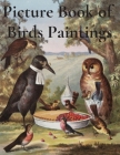 Picture Book of Birds Paintings By Simeon Toluwase Cover Image
