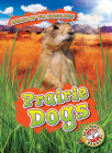 Prairie Dogs By Kaitlyn Duling Cover Image