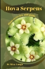 Hoya Serpens: Plant overview and guide Cover Image