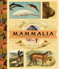 Mammalia By Lindy Mattice Cover Image