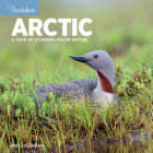 Audubon Arctic Wall Calendar 2023: A Year of Stunning Polar Nature By Workman Calendars, National Audubon Society Cover Image