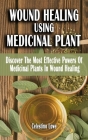 Wound Healing Using Medicinal Plant: Discover The Most Effective Powers Of Medicinal Plants In Wound Healing - A Field Guide On Medicinal Plants And H By Celestino Lowe Cover Image
