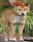 Dingo: Amazing Photos & Fun Facts Book About Dingo For Kids Cover Image