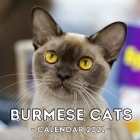 Burmese Cats: 2021 Wall Calendar, Cute Gift Idea For Burmese Cat Lovers Or Owners Men And Women By Lively Afternoon Press Cover Image