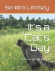 It's a Cat's Day: Photos of six cats at home Cover Image