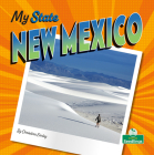 New Mexico By Christina Earley Cover Image