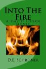 Into The Fire: A David Logan Novel By D. E. Schreiner Cover Image