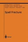 Spall Fracture (Shock Wave and High Pressure Phenomena) Cover Image