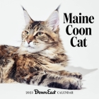 2023 Maine Coon Cat Wall Calendar By Editors of Down East Magazine Cover Image