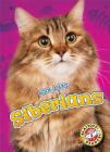 Siberians (Cool Cats) By Betsy Rathburn Cover Image