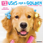 12 Uses for a Golden 2023 Wall Calendar By Willow Creek Press Cover Image