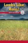 Looks Like Rain!: What's the Problem? (Computer Science for the Real World) By Sonja Reyes Cover Image