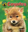 Coyotes (Wild Canine Pups) Cover Image