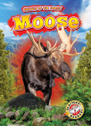 Moose (Animals of the Forest) By Al Albertson Cover Image