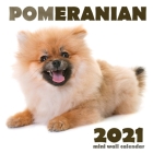 Pomeranian 2021 Mini Wall Calendar Cover Image