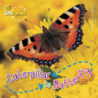 Caterpillar To Butterfly (LifeCycles) Cover Image