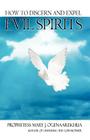 How To Discern and Expel Evil Spirits By Mary J. Ogenaarekhua Cover Image
