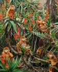 Simen Johan By Simen Johan, Hugo Fortin (Introduction by) Cover Image
