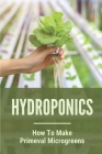 Hydroponics: How To Make Primeval Microgreens: Hydroponic System By Fabian Stanowski Cover Image