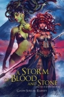 A Storm of Blood and Stone Cover Image