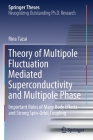 Theory of Multipole Fluctuation Mediated Superconductivity and Multipole Phase: Important Roles of Many Body Effects and Strong Spin-Orbit Coupling (Springer Theses) By Rina Tazai Cover Image