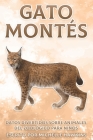 Gato Montés: Datos divertidos sobre animales del zoológico para niños #28 By Michelle Hawkins Cover Image