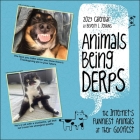Animals Being Derps 2023 Wall Calendar: The Internet's Funniest Animals at Their Goofiest By Beverly L. Jenkins Cover Image