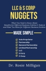 LLC & S CORP Nuggets By Rosie Milligan Cover Image