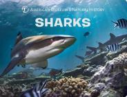 Sharks (Science for Toddlers) By American Museum of Natural History Cover Image