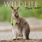 Wildlife Down Under 2025 12 X 12 Wall Calendar Cover Image