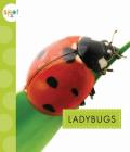 Ladybugs (Spot) Cover Image